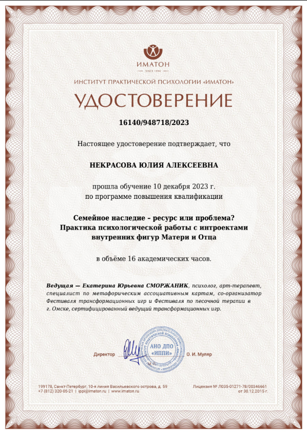 Диплом 17